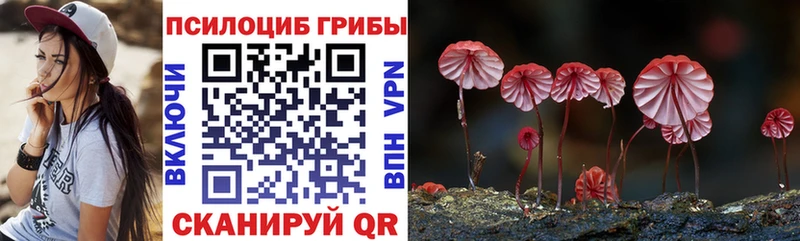 Псилоцибиновые грибы Psilocybine cubensis  Власиха 